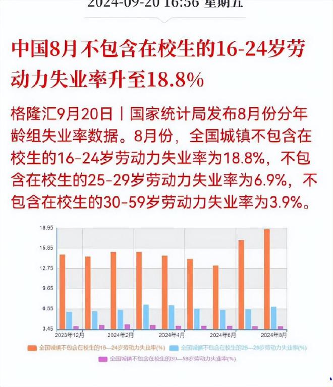 精准解答:10月不含在校生16-24岁失业率达17.1%的深层分析