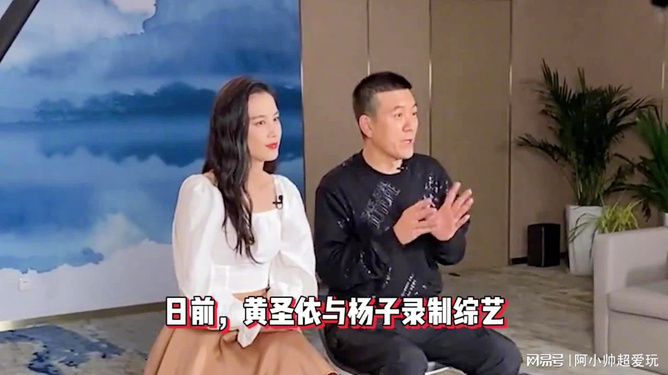 词语解释:杨子说后悔参加再见爱人，揭示娱乐圈的真实与幻影