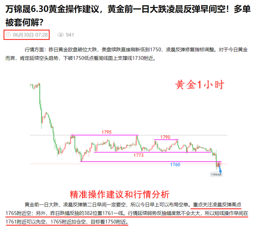 词语解释:金价延续反弹，趋势、原因及展望