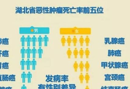 全面解答解释落实:面对逆境，一名17岁女孩与宫颈癌晚期的挑战