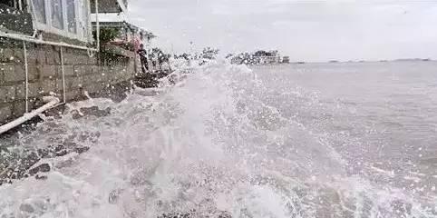 最佳精选:沿海多地海水倒灌现象研究