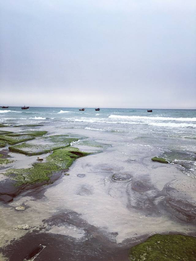 精准解答:北海海水污染状况及其影响