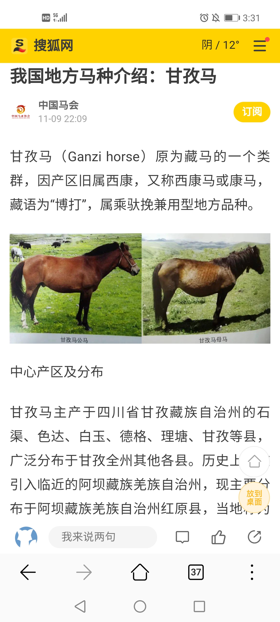 精密解答:甘孜马价格分析