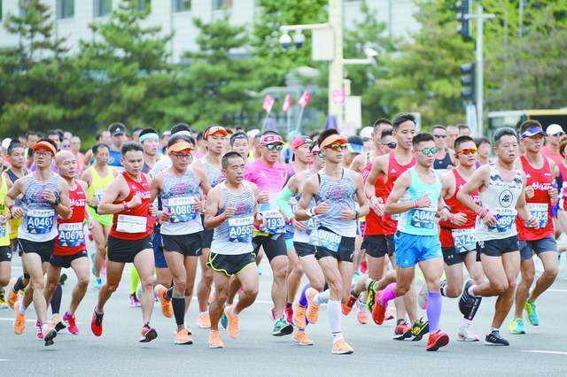 最佳精选解释落实:马拉松与马，速度与耐力的永恒传奇