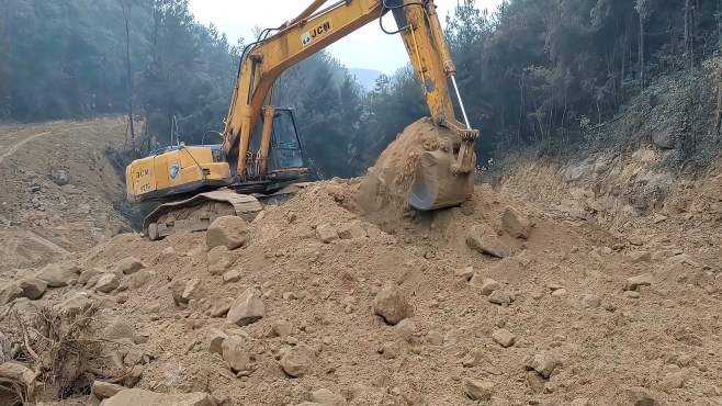 全面解答解释落实:挖机师傅遇老虎巡山，一次惊心动魄的遭遇