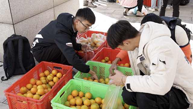 最佳精选解释落实:高校发放120吨橙子，一场暖心之举的背后