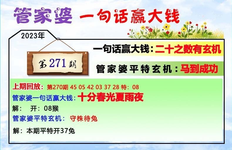 管家婆204年资料一肖配成龙,全面解答落实_XE版14.613