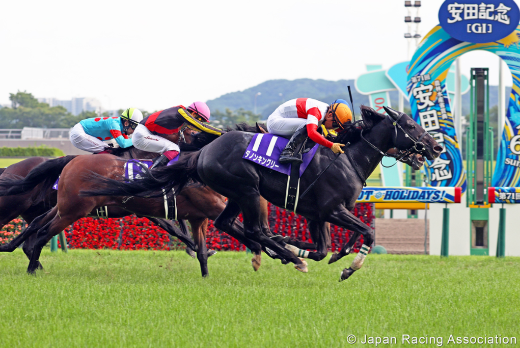 香港2021年3月份的买马数据,全新精选解释落实_1080p65.870