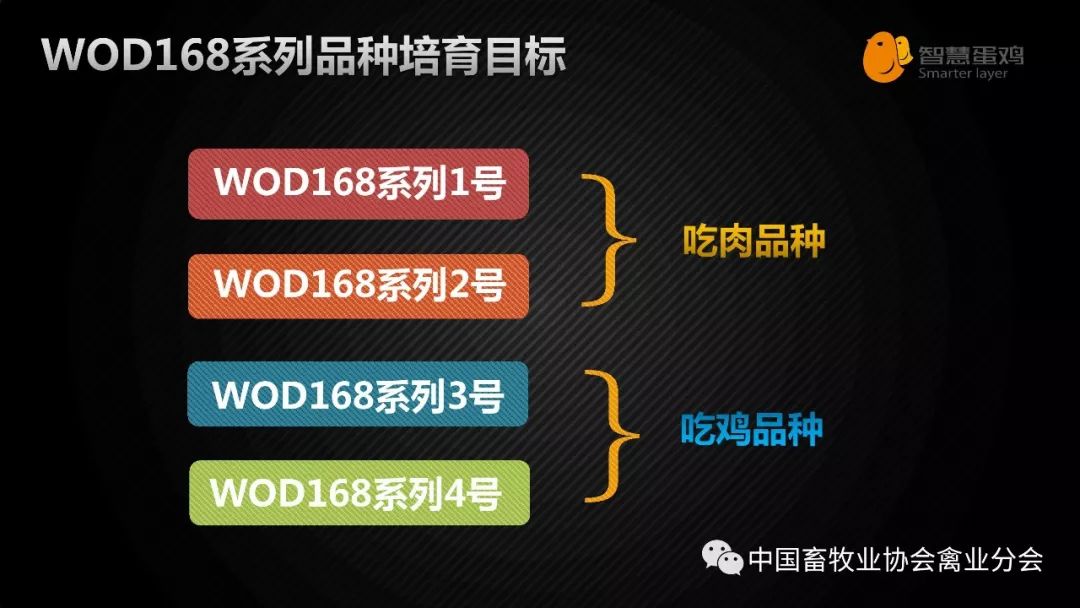 新澳精准资料免费提供4949期,精准落实_Linux71.777