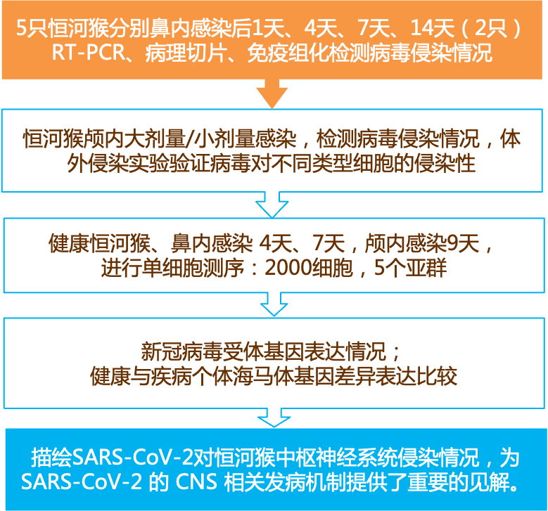 2024新奥精准资料免费大全078期,精准解释落实_AR版25.456