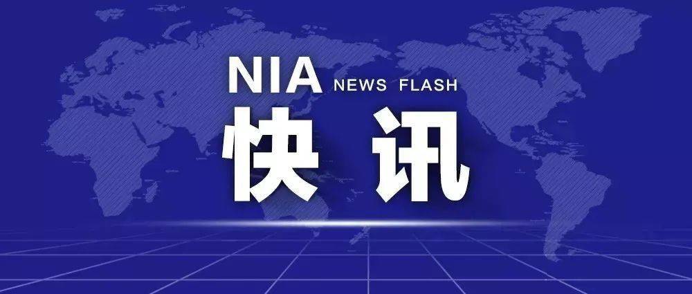 新奥长期免费资料大全澳门四不相,精准落实_Advance31.510