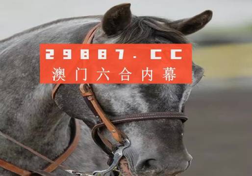 2024买马资料免费网站,解释定义_基础版86.522