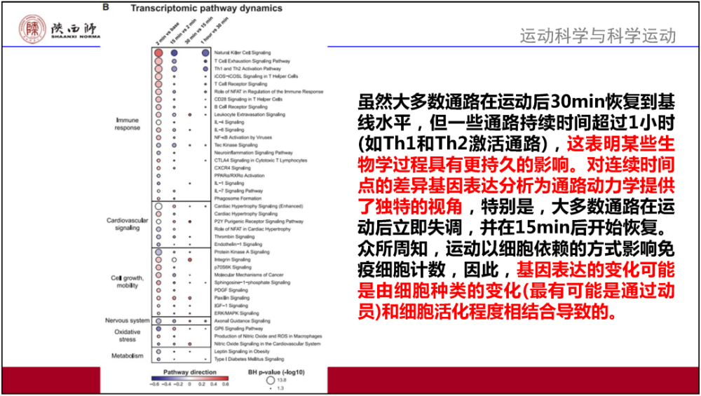 新奥门免费资料大全在线查看,解释定义_娱乐版65.765