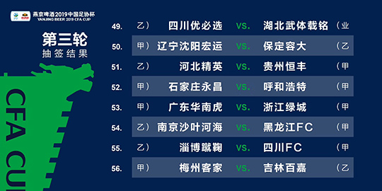 2024新澳三期必出1肖,全新精选解释落实_标配版48.389