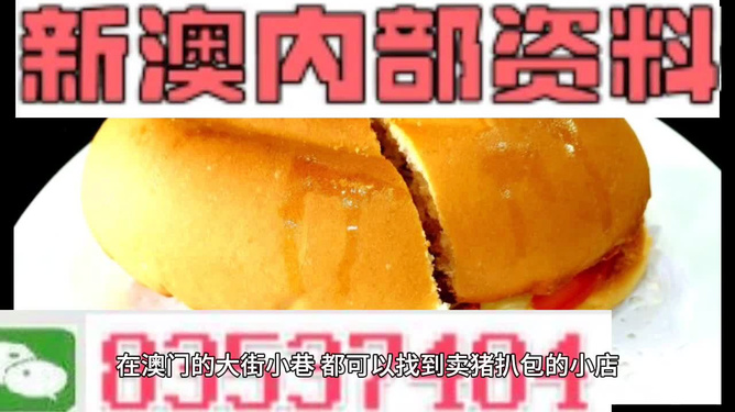 澳门最精准免费资料大全特色,动态词语解释落实_升级版9.124