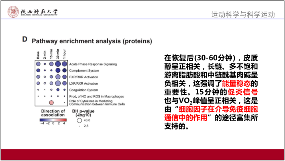 新澳49图库-资料,精选解释_试用版80.71