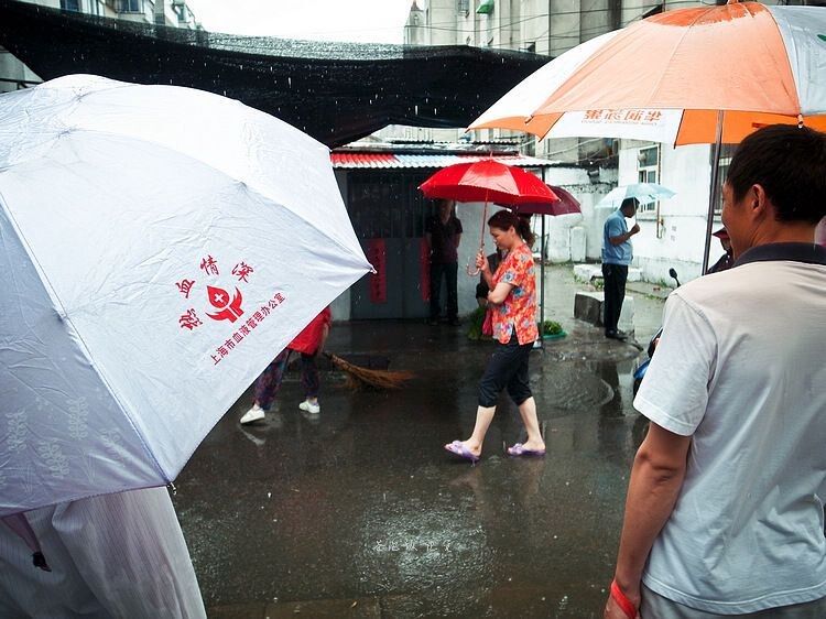 全面解答:冒雨找回亡妻买的伞，一场关于爱与承诺的旅程