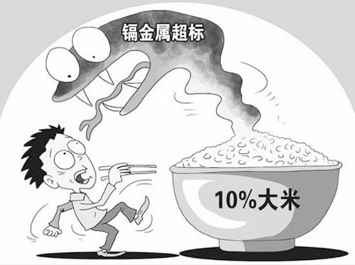 多地大米重金属镉超标？假的！关于大米质量与安全的真相揭秘