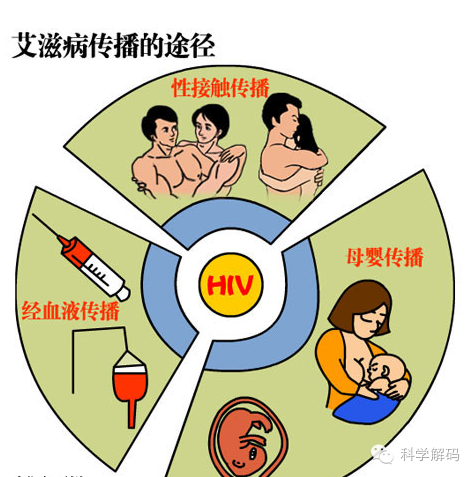 全国艾滋病，性传播是主要途径的深刻洞察