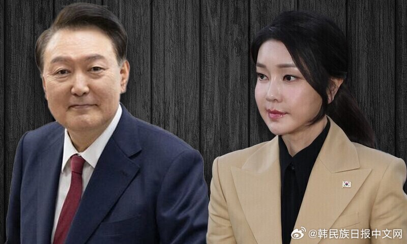 尹锡悦夫人特检法被否决，背后的故事与深层影响