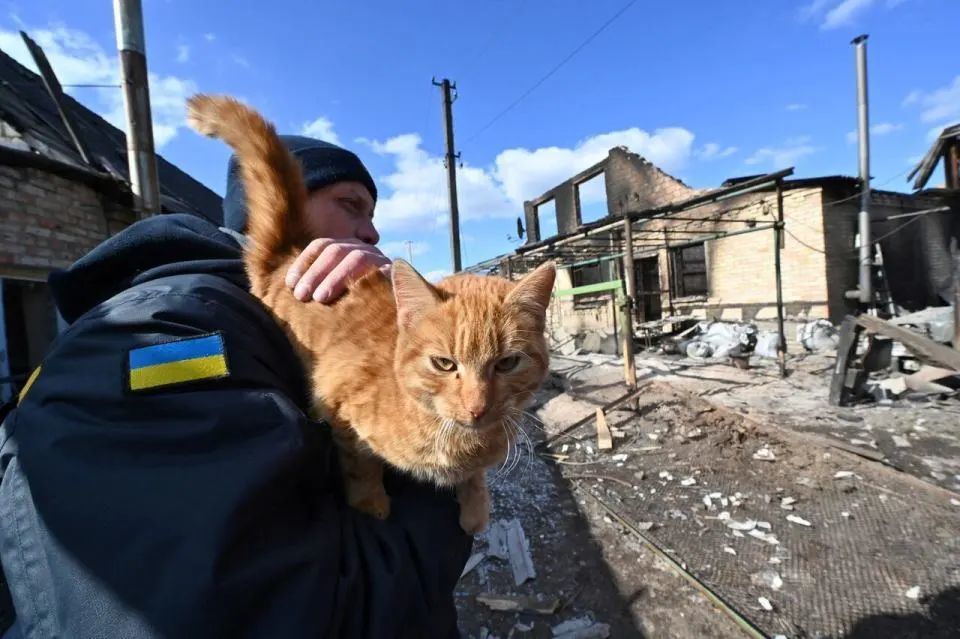 乌男子逃兵役用猫暖身奇迹存活