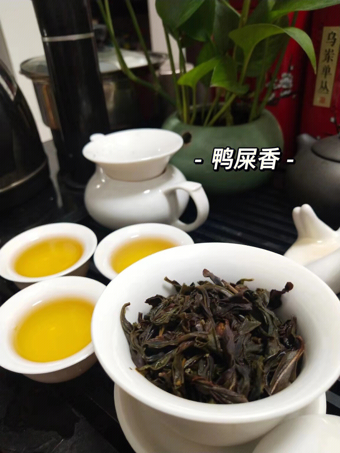 鸭屎香茶叶与鸭屎之间的关系探究