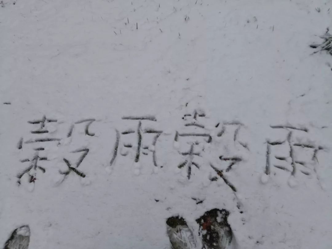 苏雪痕 第2页