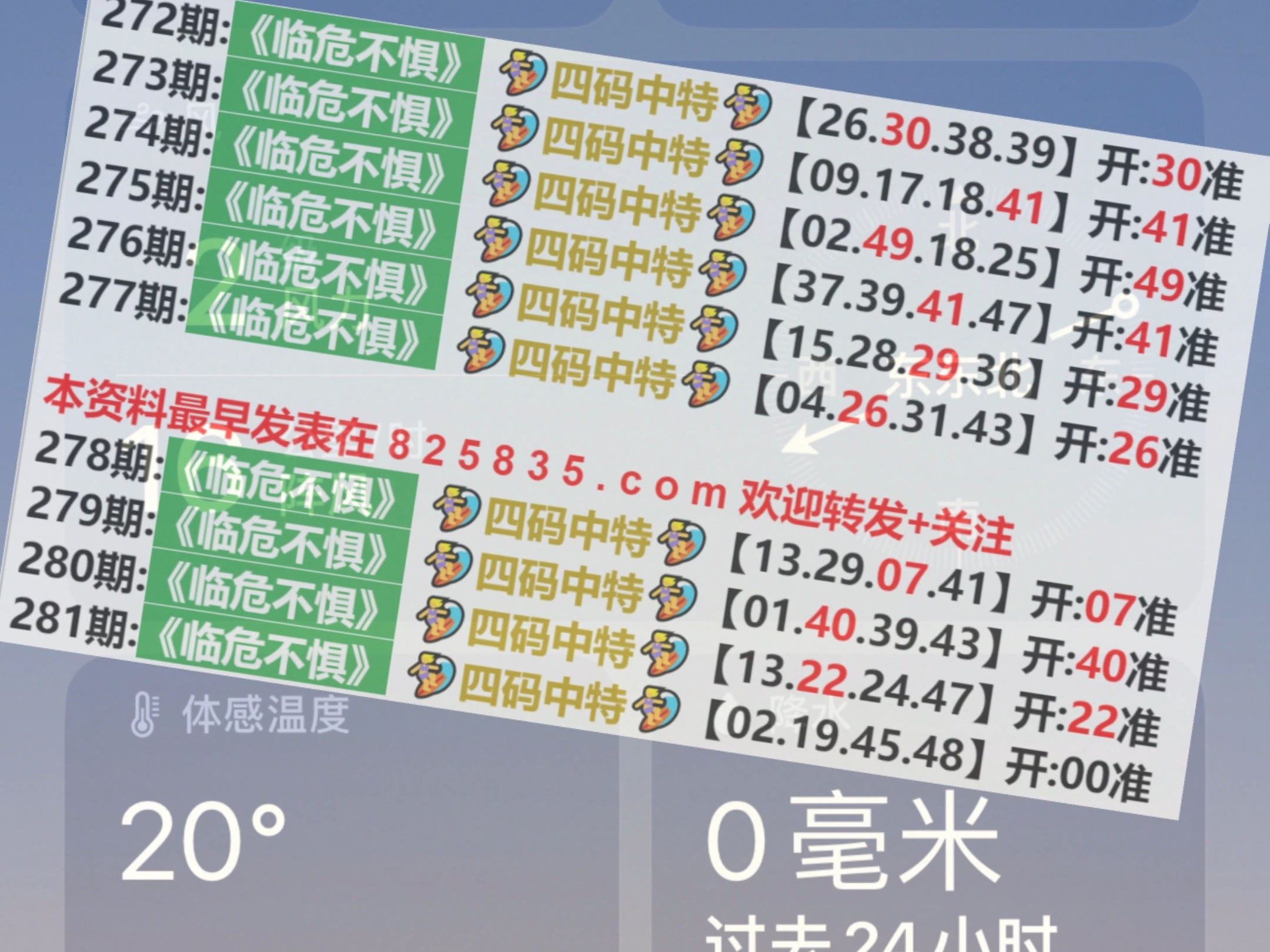 2024澳门开奖结果王中王,效率资料解释定义_限量版41.489