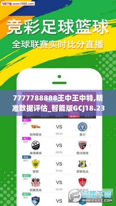 7777788888王中王中特,实时更新解析说明_DP13.420