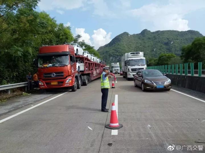 广西贵港婚车并未遭遇粗暴拦截——真相揭秘与反思社会现象